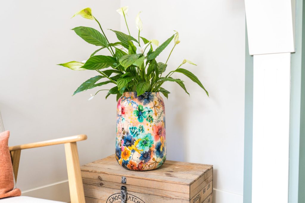 sparkle spring bloempot van lammie met een groene plant erin 